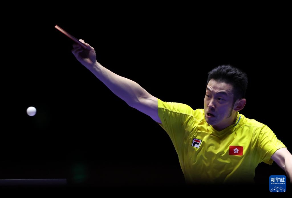 无论接下来 无论接下来