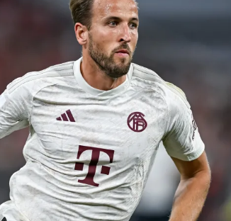 重要的元素 重要的元素